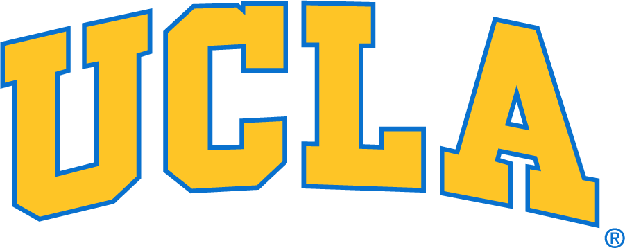 UCLA Bruins 1996-2017 Wordmark Logo diy DTF decal sticker